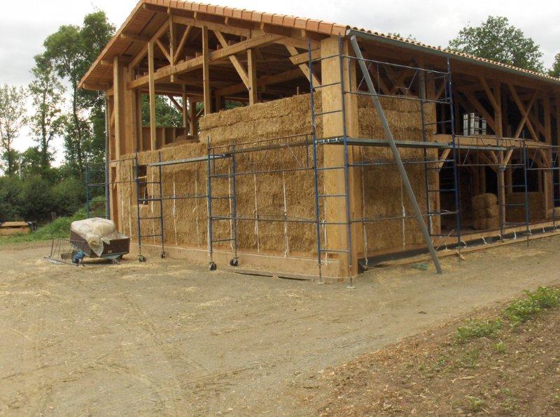 Dalle bois, Veluché (79)